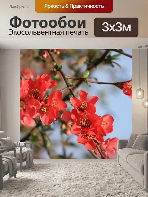 Фотообои Цветение деревьев, красный