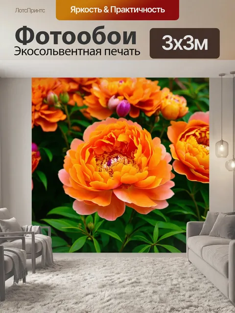 Фотообои оранжевый цвет: оранжевые пионы с распускающимися лепестками на фоне ярко-зеленой листвы