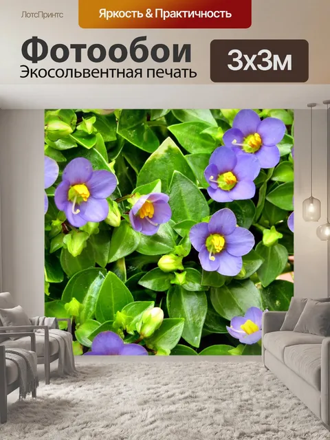Фотообои Цветок