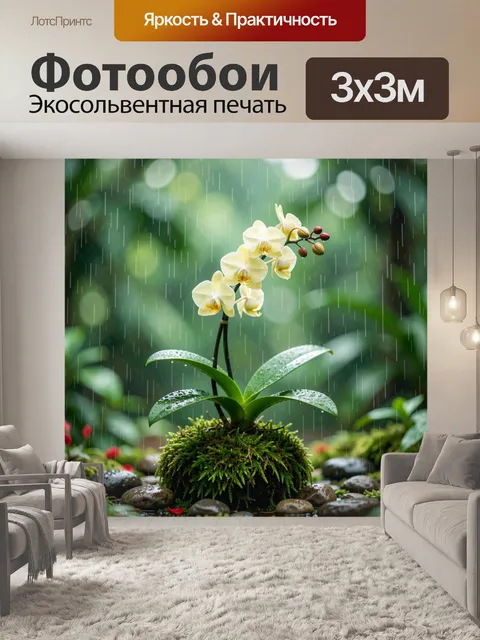 Фотообои Орхидея под дождем среди мха
