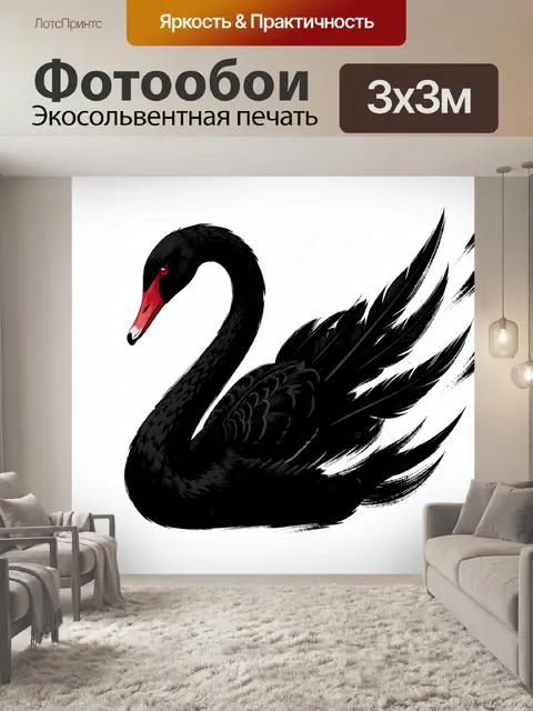 Фотообои Черный лебедь с красным клювом