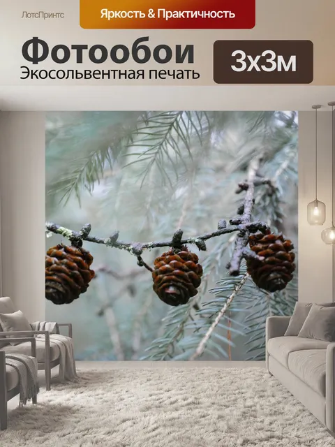 Фотообои Шишка