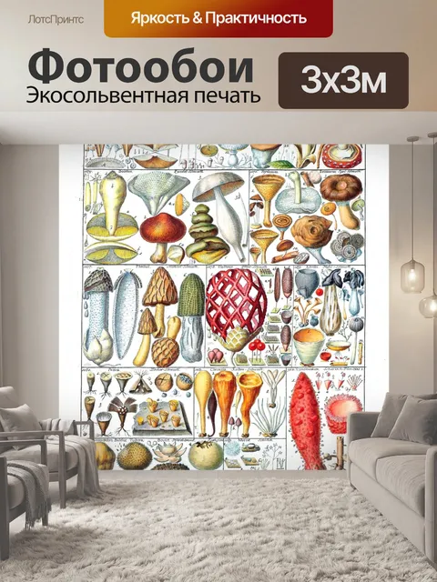 Фотообои Винтажные художественные грибы ботаники