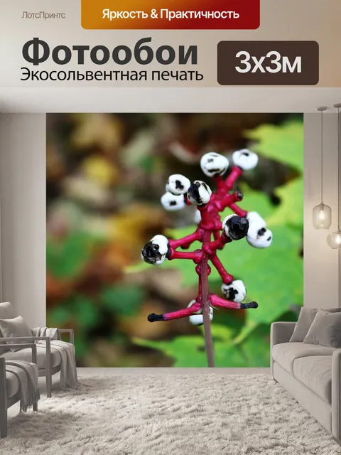 Фотообои Лесные ягоды