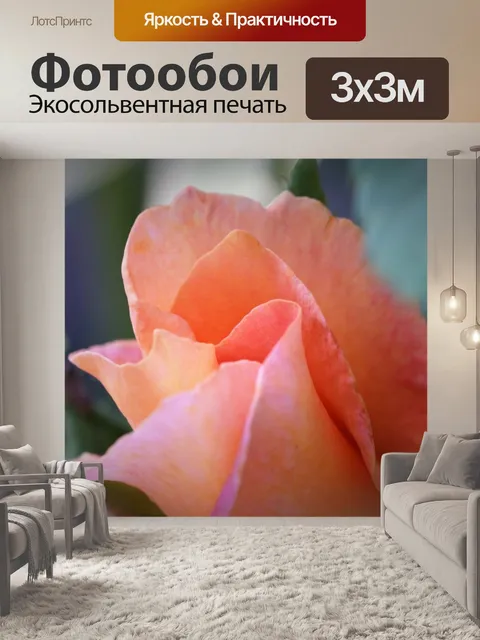 Фотообои Золотая медаль роза