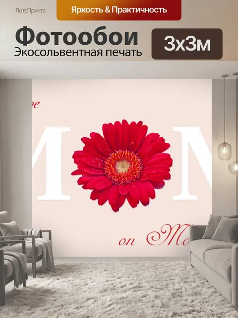 Фотообои Гербера ромашка цветок красный