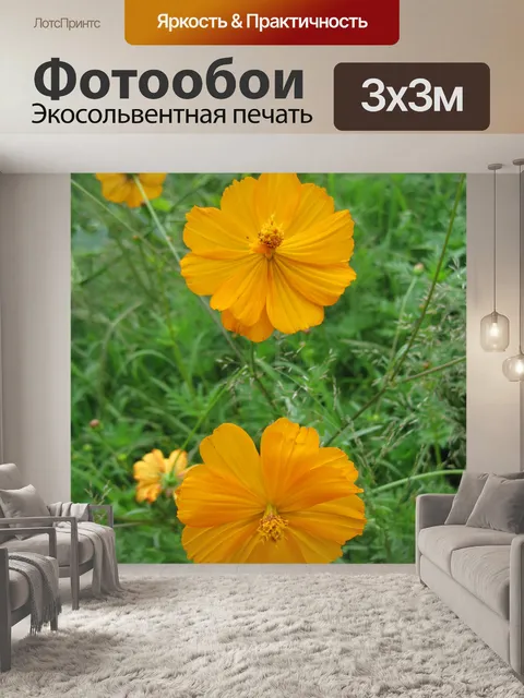 Фотообои желтые космос с зеленым фоном