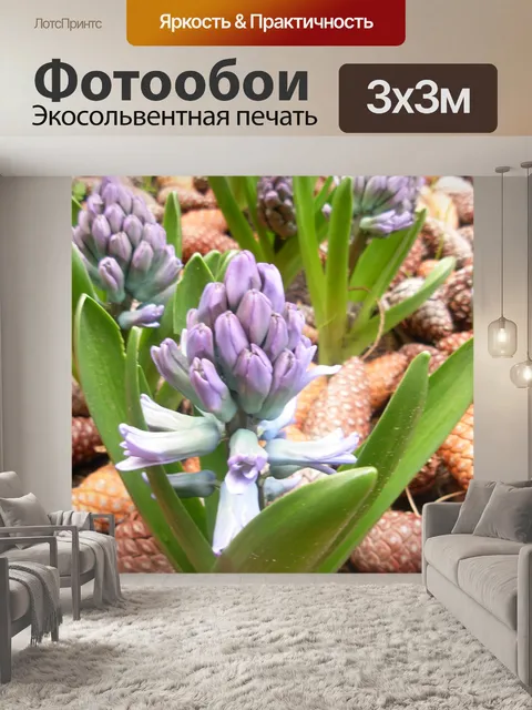 Фотообои Гиацинты