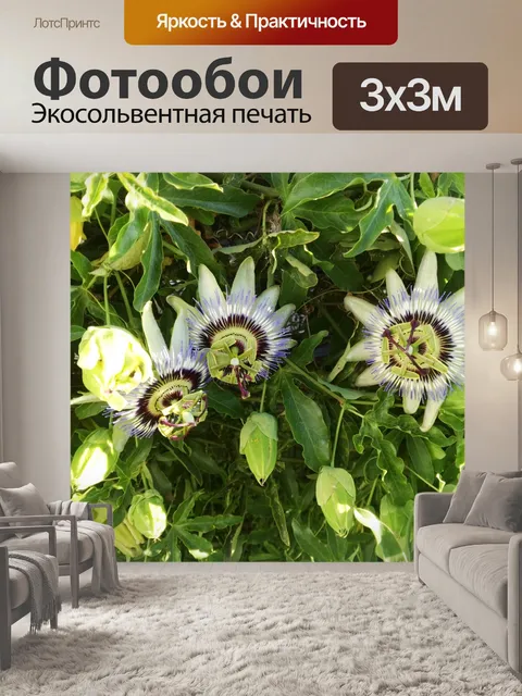 Фотообои Цветы 11
