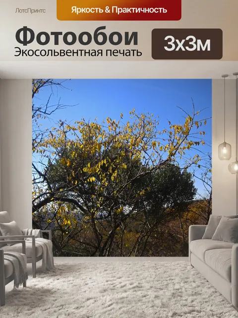 Фотообои желтые листья на кусте осенью