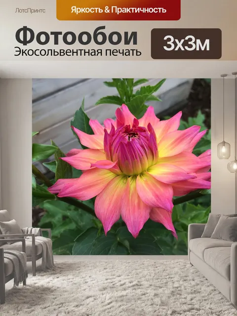 Фотообои Георгин