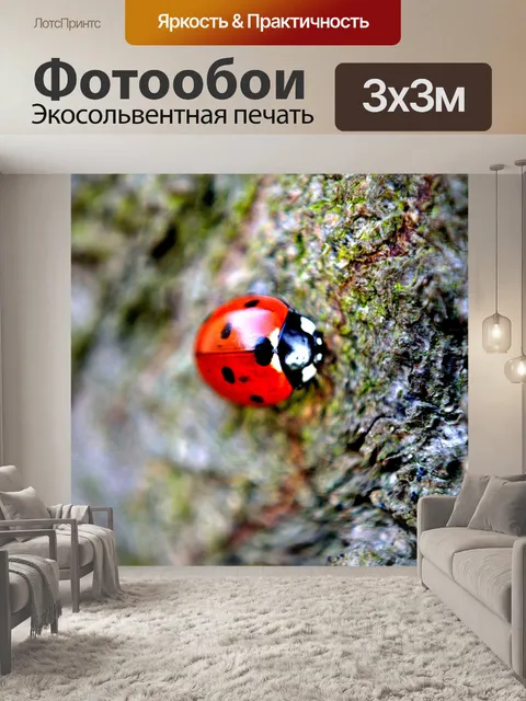 Фотообои Божья коровка