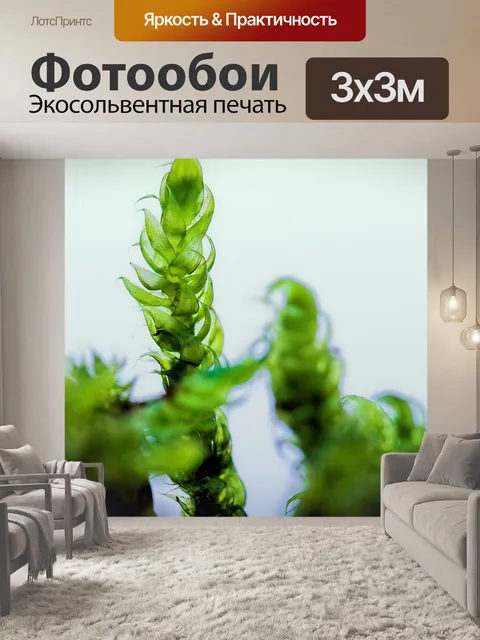 Фотообои Зеленый