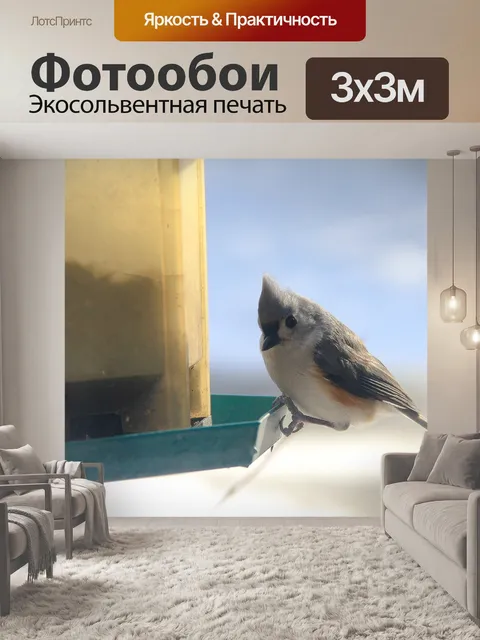 Фотообои Птица