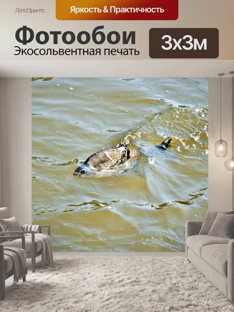 Фотообои Рыба