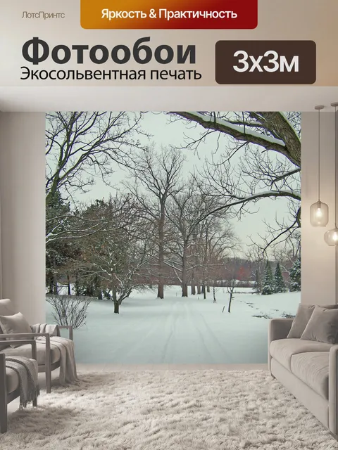 Фотообои Шины треков в снегу