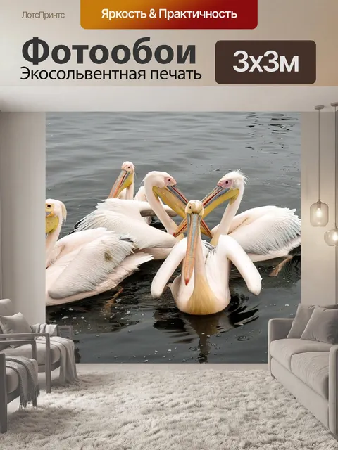 Фотообои Пеликан
