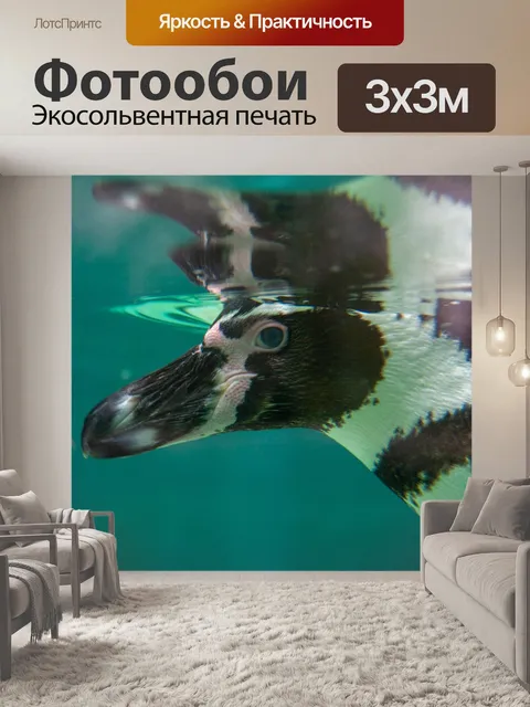 Фотообои Безумные