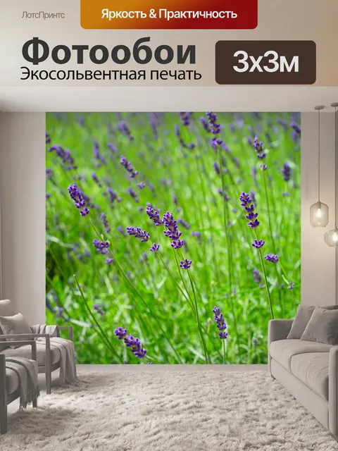 Фотообои Лаванда