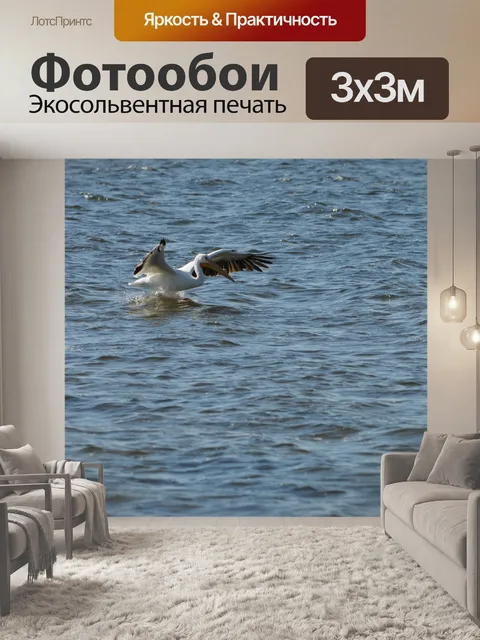 Фотообои Pelican Landing в воде