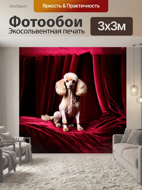 Фотообои пудель, изящно позирующий на фоне роскошной бархатной занавески с интригующими складками, в стиле реализма…