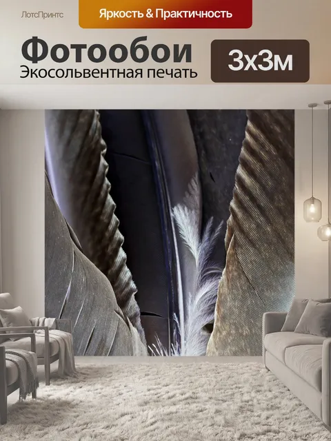 Фотообои веер из серых перьев