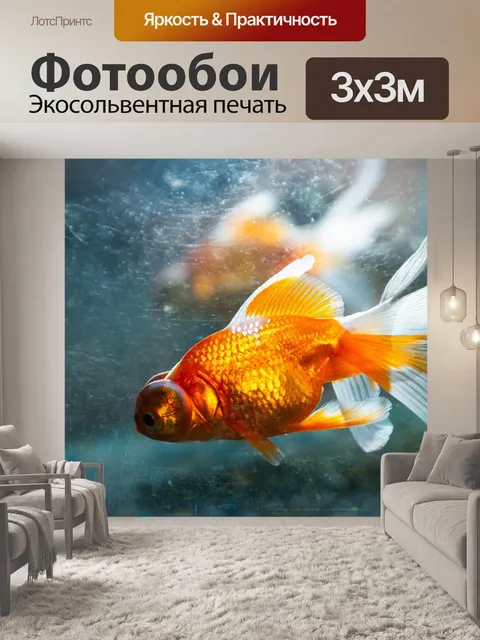 Фотообои Fish