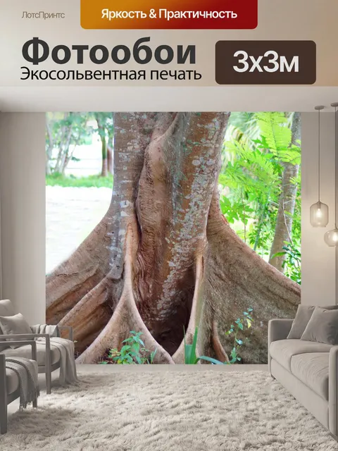 Фотообои Изящные Корни деревьев