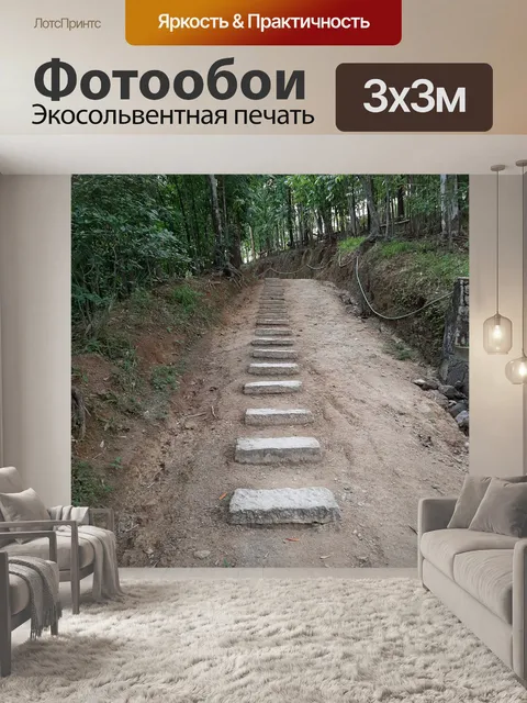 Фотообои путь