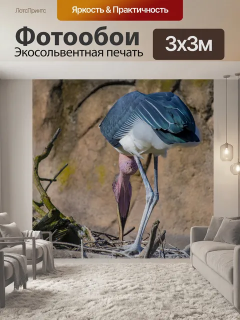 Фотообои Кормление аистов