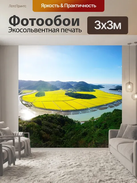 Фотообои Юридическое женские спортивные