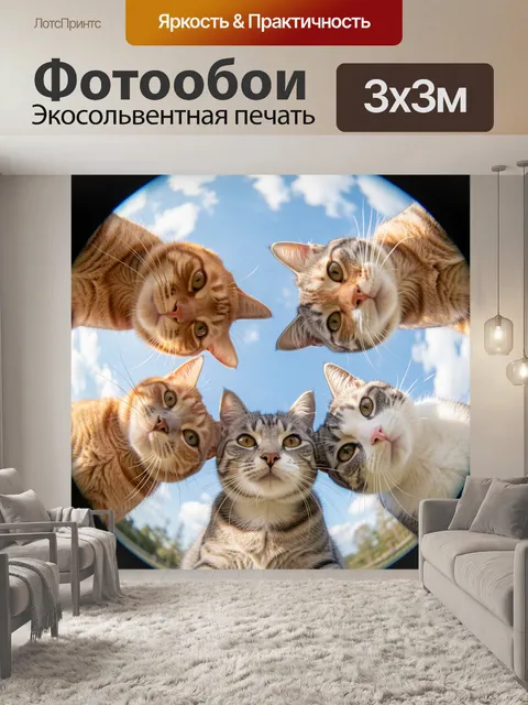 Фотообои Пять любопытных кошек