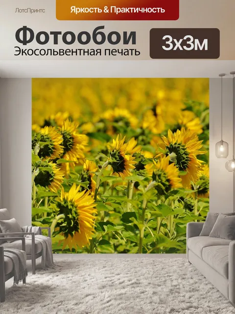Фотообои Подсолнухи