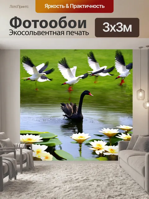 Фотообои в тихом пруду черный лебедь парит среди белых лилий, его темные перья контрастируют с яркими цветами вокруг