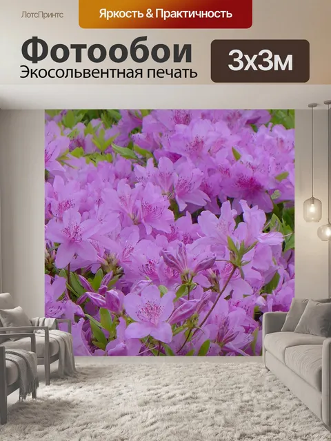 Фотообои Фиолетовый