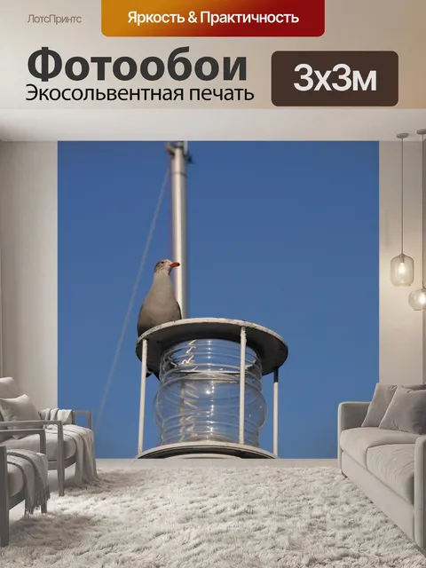 Фотообои Чайка на портовом света