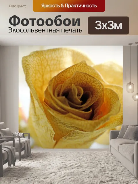 Фотообои Сушеные белые розы