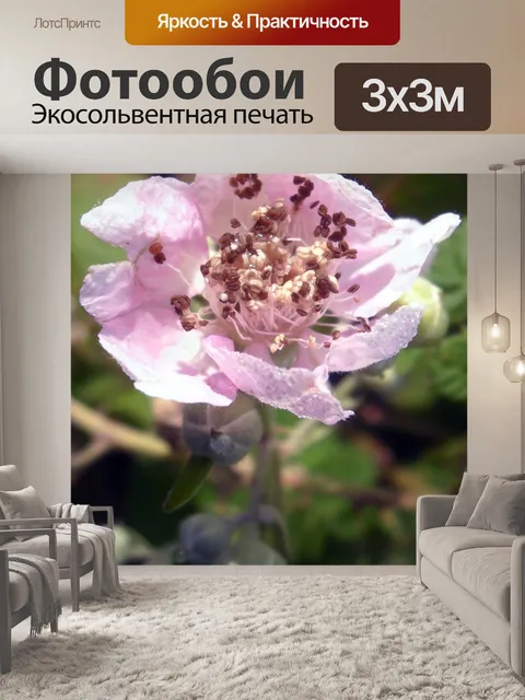 Фотообои Цветы