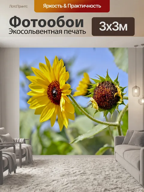Фотообои Подсолнечник завод крупным планом