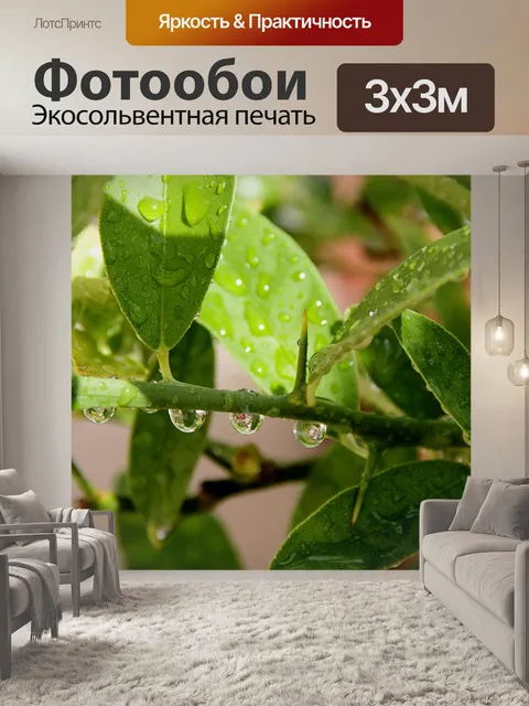 Фотообои Капли дождя на цитрусовом заводе