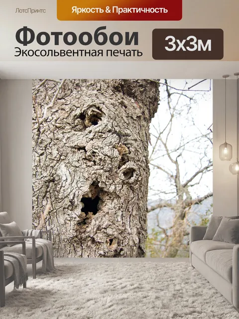 Фотообои Старый