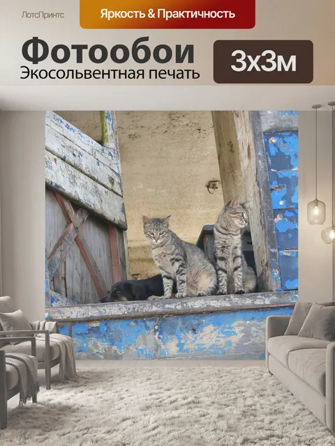 Фотообои Кошки
