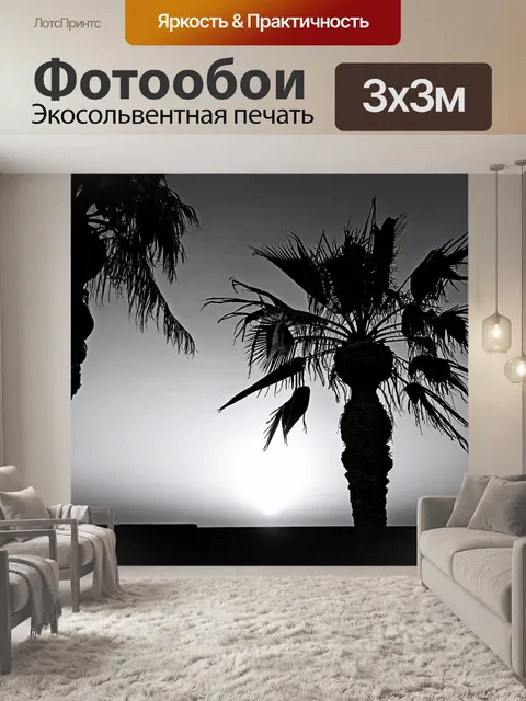 Фотообои египет в стиле черно-белый, красивые силуэты пальм на фоне заката