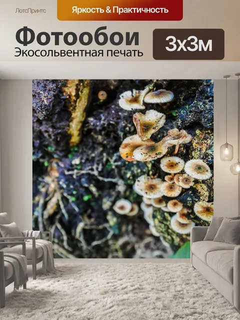 Фотообои Лесные грибы