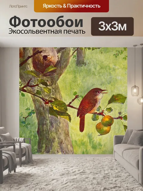 Фотообои Домашний крапивник винтажная картина с п