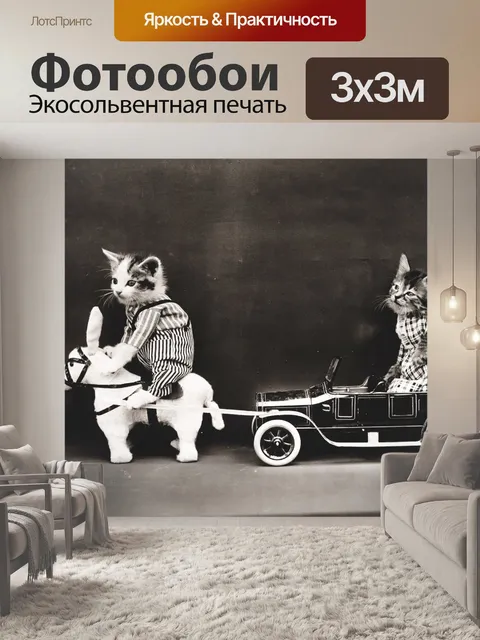 Фотообои Кошка Одетая Винтаж Фото