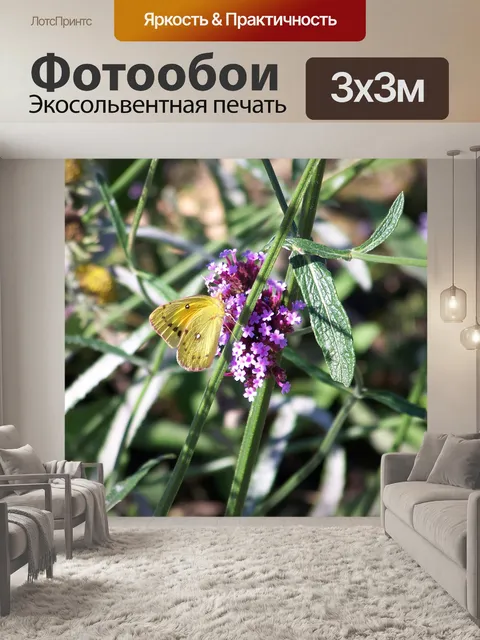 Фотообои Бабочка на цветах