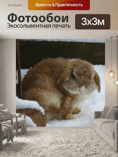 Фотообои Кролики