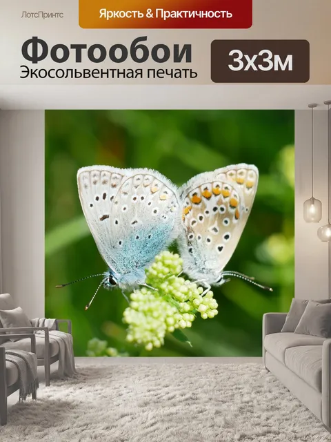 Фотообои Макрос