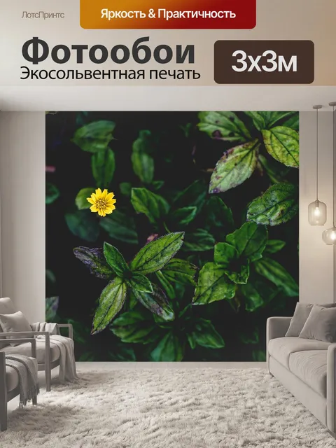 Фотообои Блум